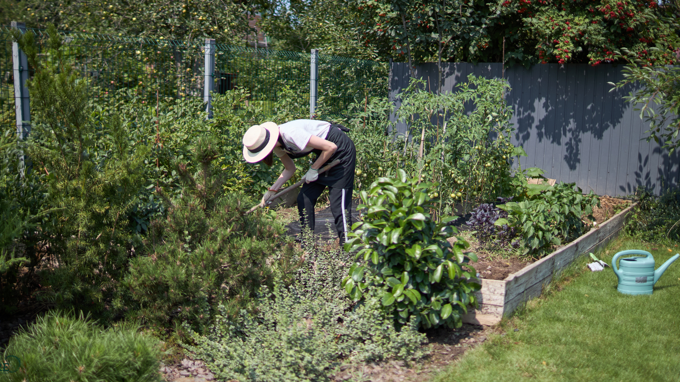 Jeune travaillant dans un jardin
