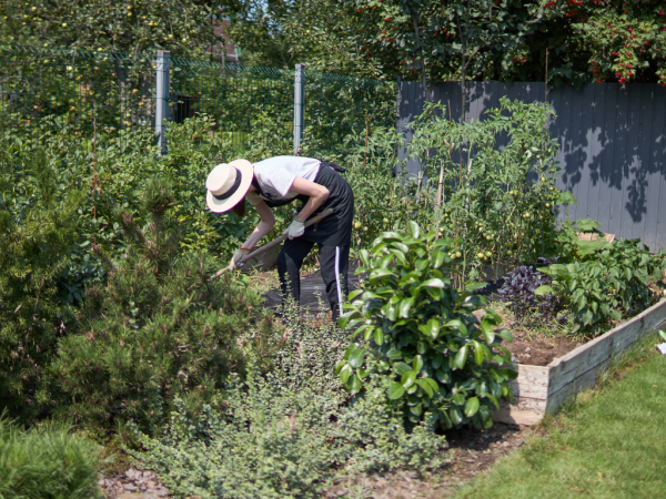 personne travaillant dans un jardin