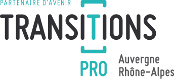 Logo Transition pro